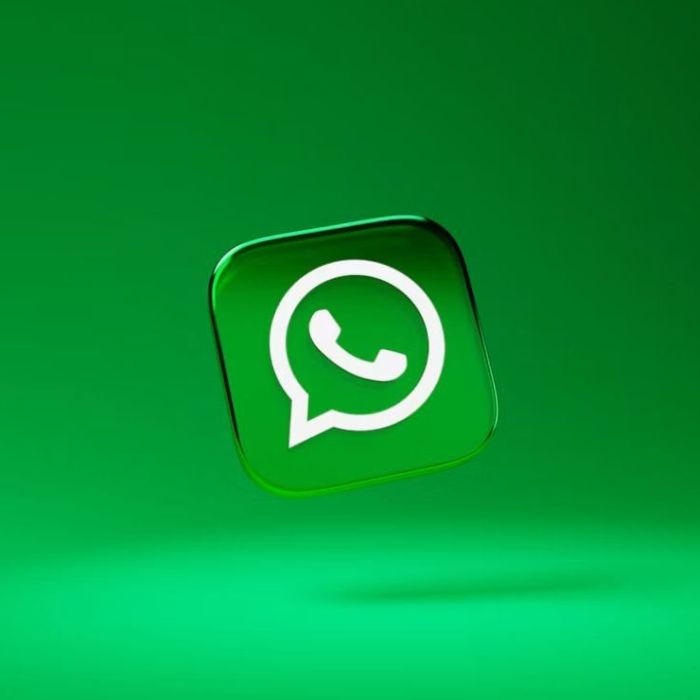 como-recuperar-historias-eliminadas-de-whatsapp-en-android