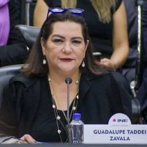 guadalupe-taddei-reporto-3-2-millones-de-pesos-y-ningun-inmueble-ni-vehiculo