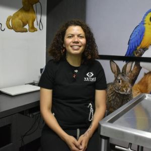 hace-10-anos-tambien-envenenaron-a-cientos-de-perros-en-el-parque-espana-recuerda-veterinaria