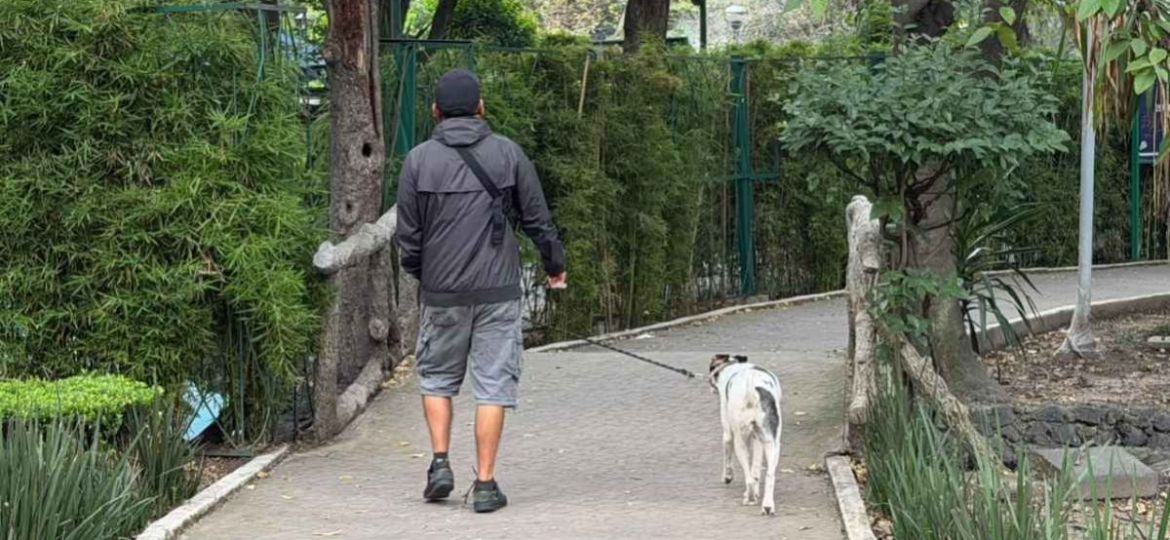 vecinos-de-la-condesa-forman-brigadas-tras-envenenamiento-de-perros-en-parque-espana
