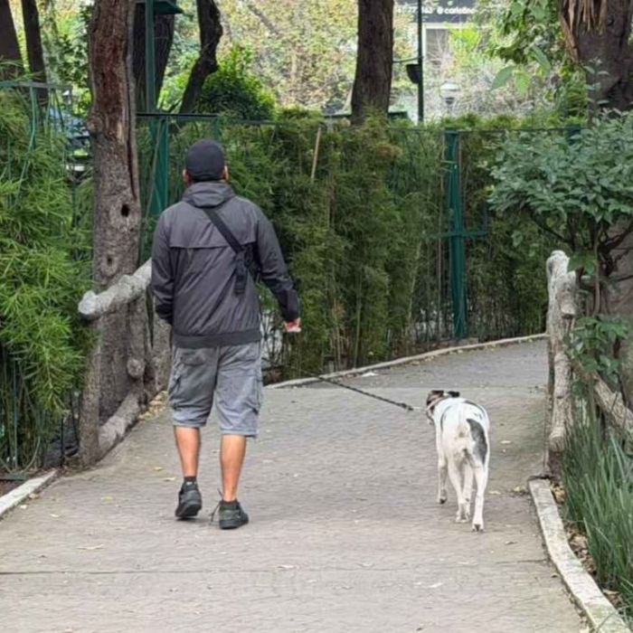 vecinos-de-la-condesa-forman-brigadas-tras-envenenamiento-de-perros-en-parque-espana